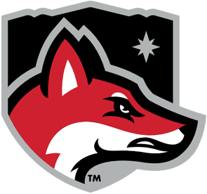 North Greenville University logo