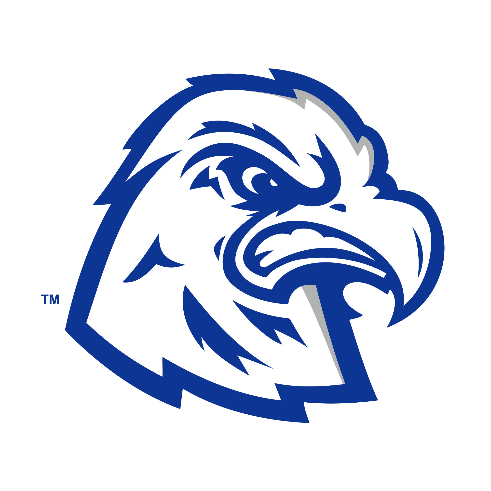 Calhoun Community College logo
