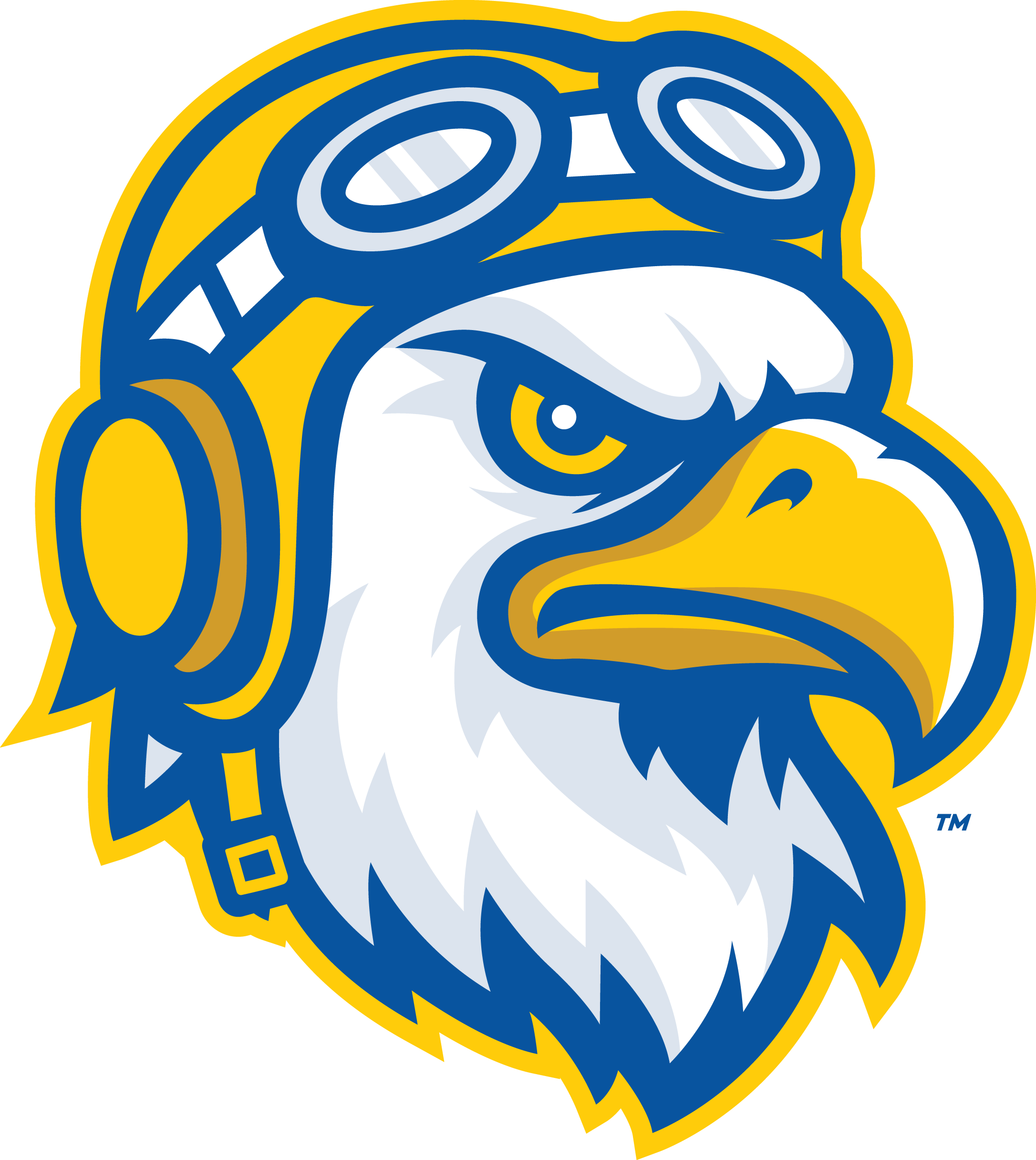 Embry-Riddle Aeronautical University logo