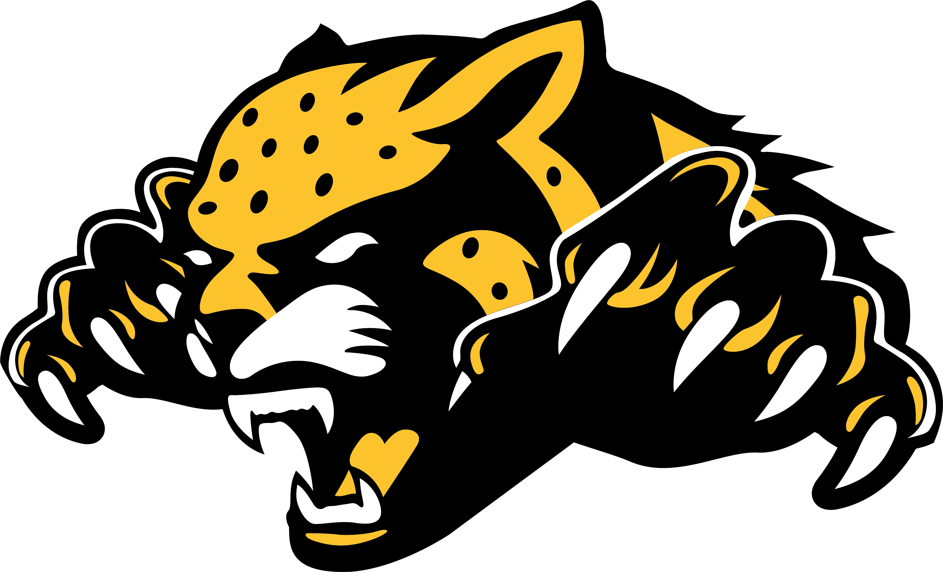 Danville Area Community College logo