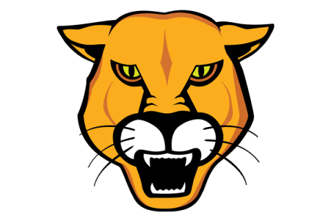 Central Carolina Community College logo