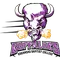 Arkansas Baptist logo