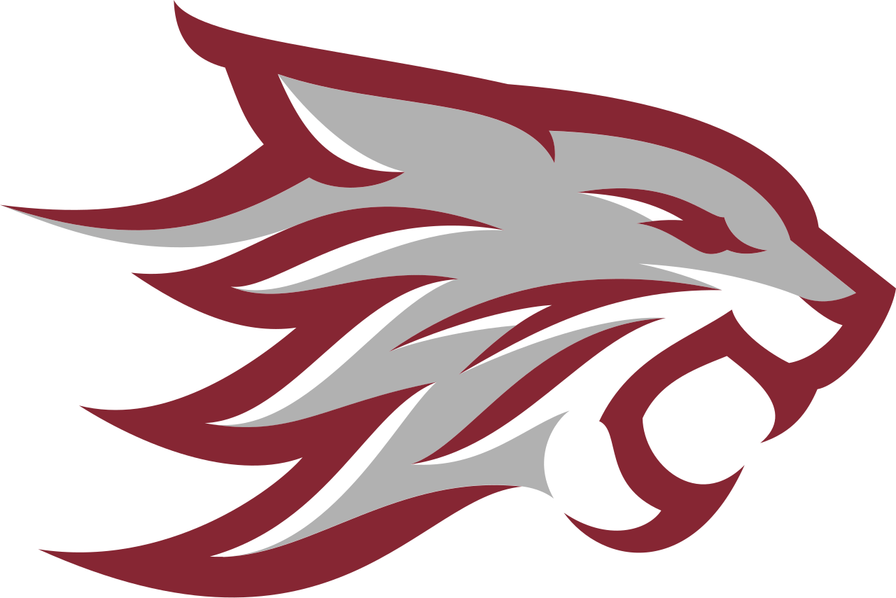 California State University logo