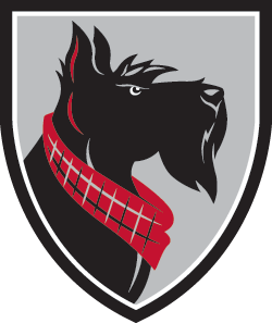 Carnegie Mellon University logo