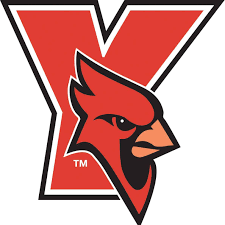 York College (N.Y.) logo