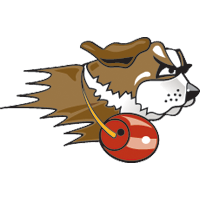 University of St. Francis (Ill.) logo